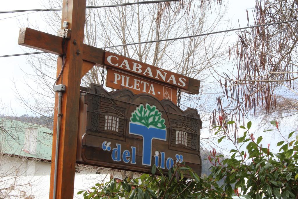 Apart Hotel Del Tilo San Martín de los Andes Buitenkant foto