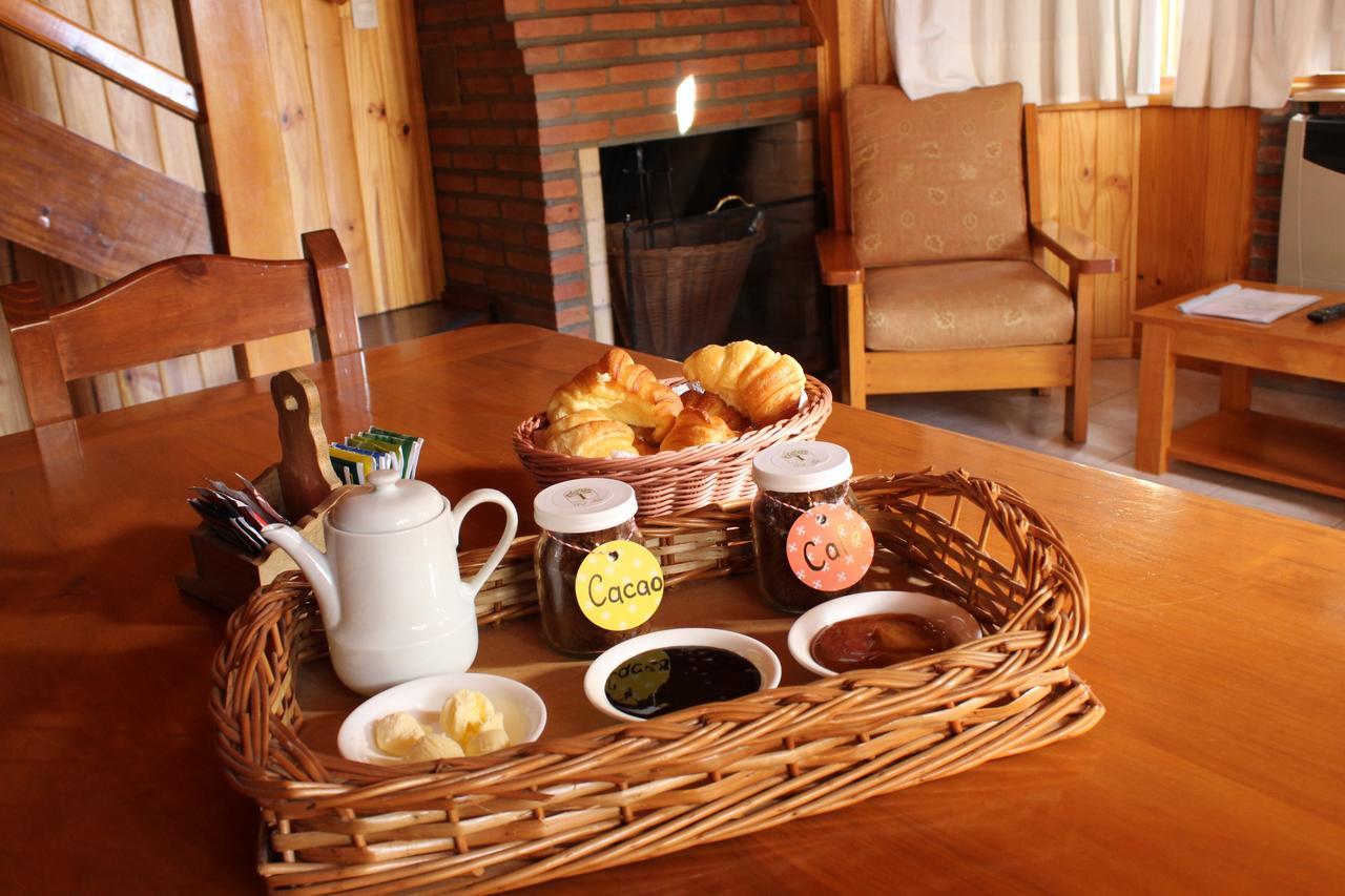 Apart Hotel Del Tilo San Martín de los Andes Buitenkant foto
