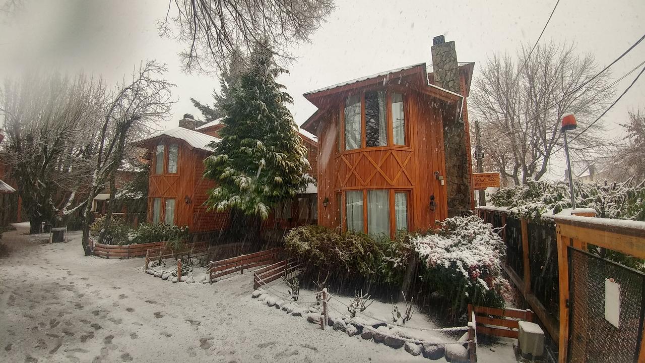 Apart Hotel Del Tilo San Martín de los Andes Buitenkant foto
